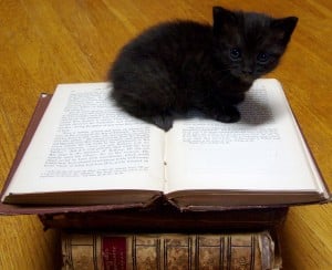 Kitty Books